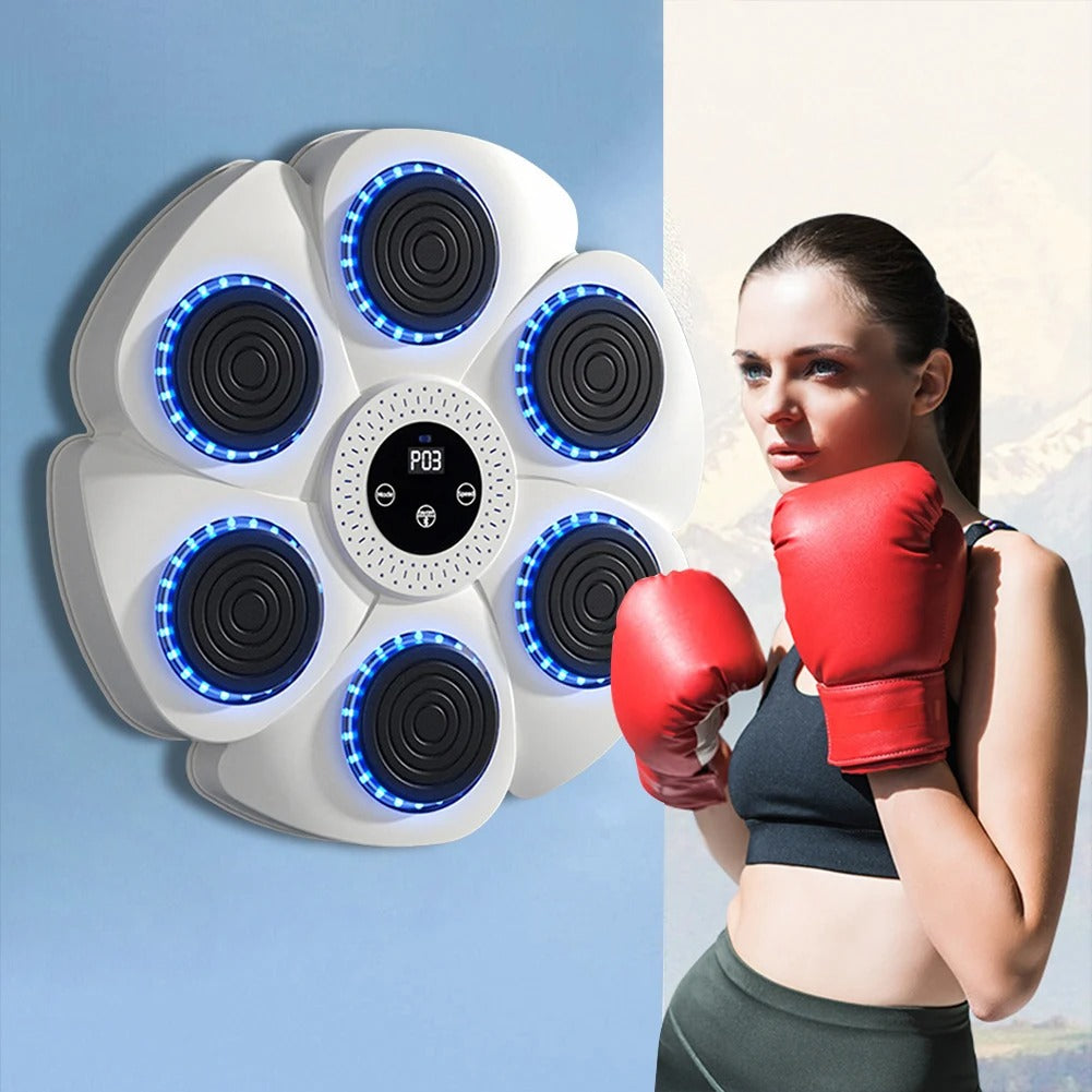 BOXING PUNCHING TARGET