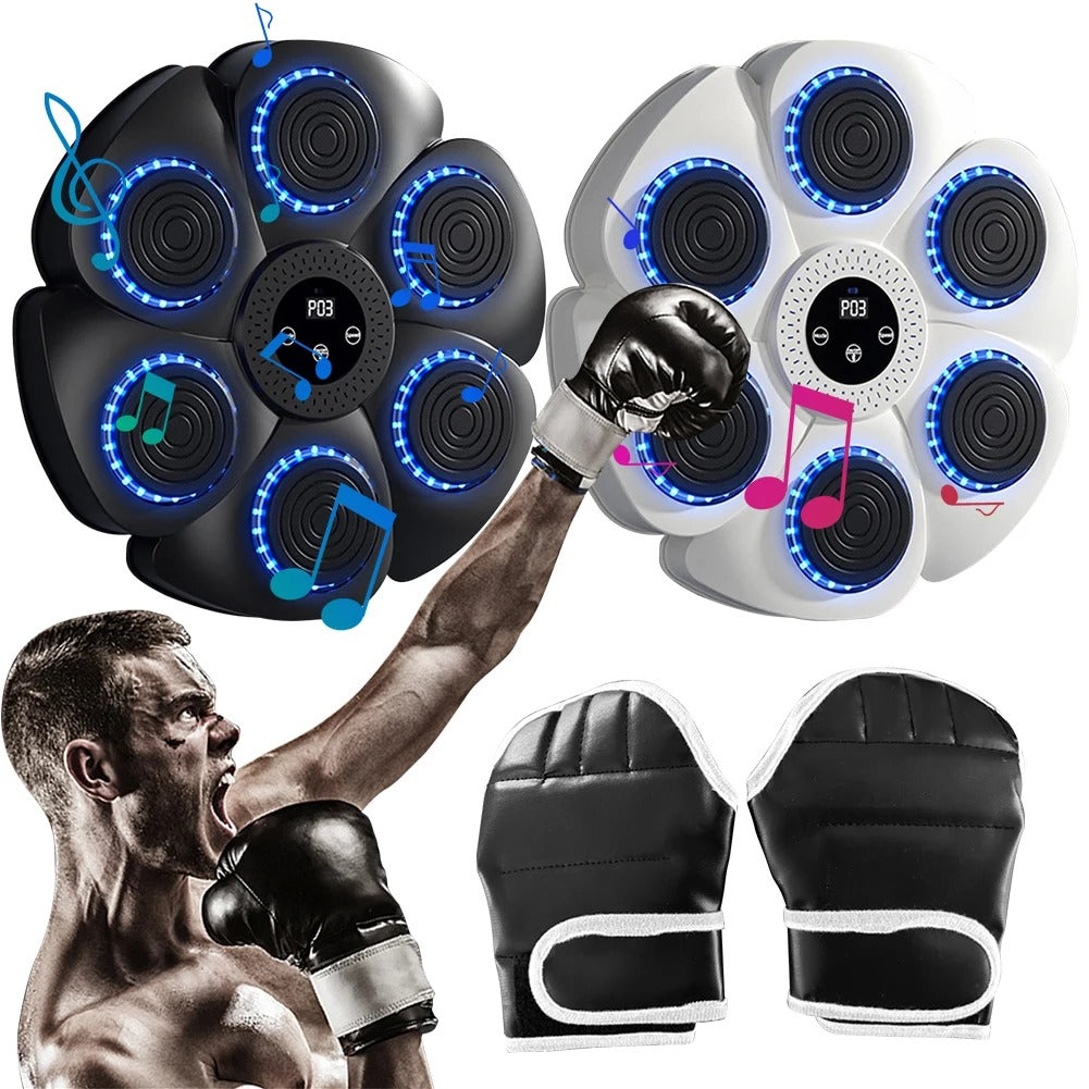 BOXING PUNCHING TARGET