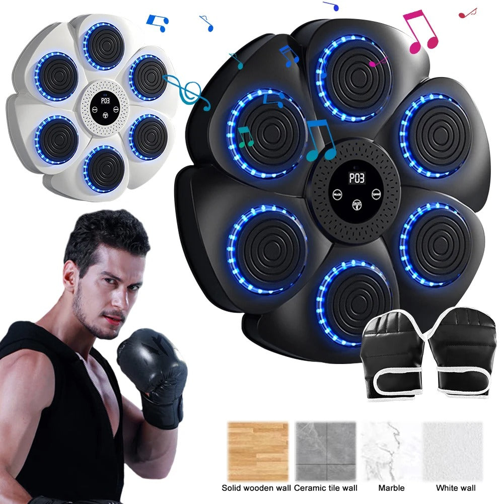 BOXING PUNCHING TARGET